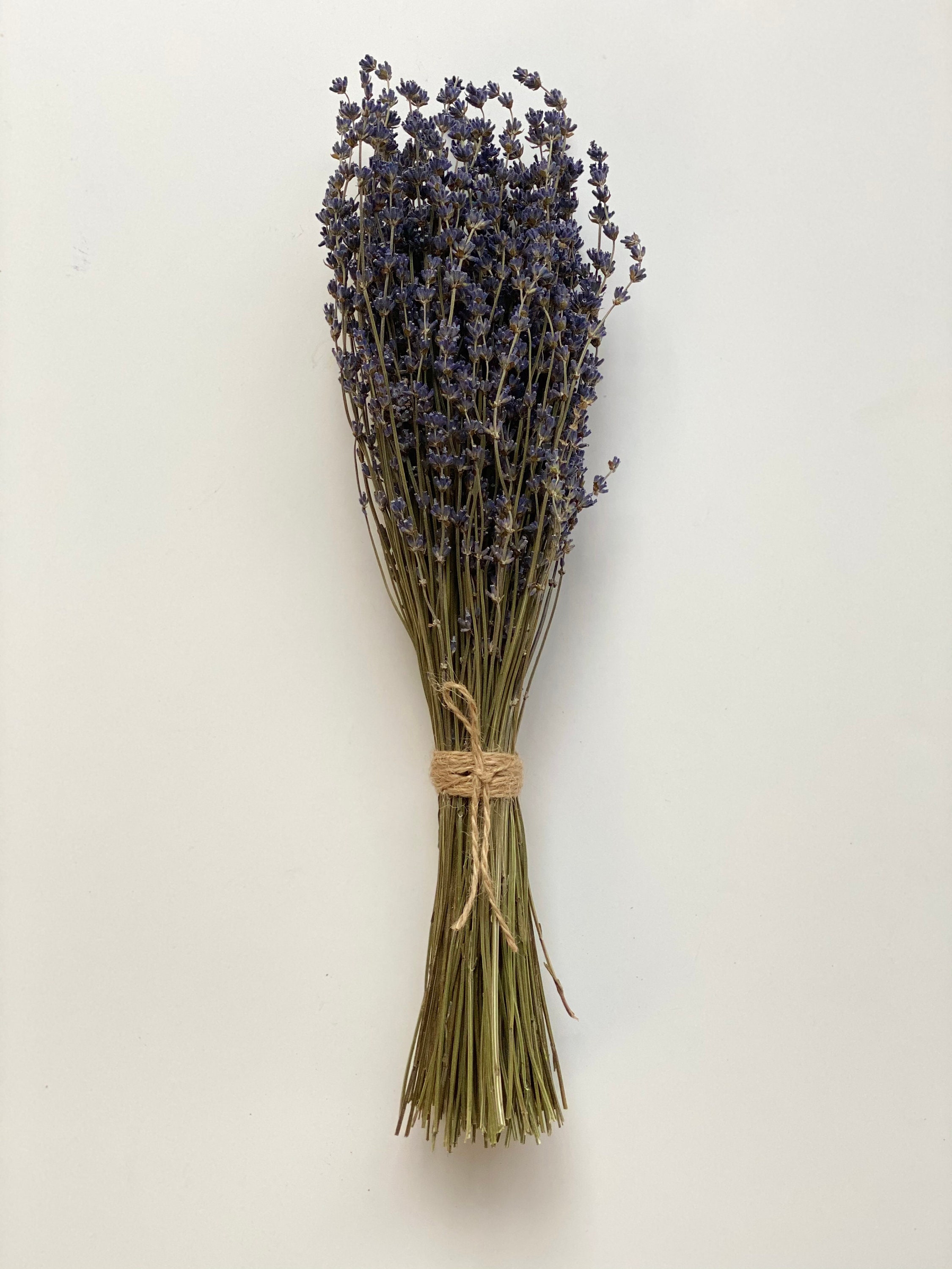 Dried English Lavender Vibrant Purple Bunches - Set of 2 – Lavender By The  Bay