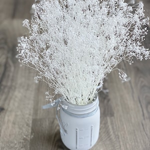 Gypsophila seca con purpurina blanca: Suministros de Gypsophila auténtica - Pequeño ramo de flores naturales
