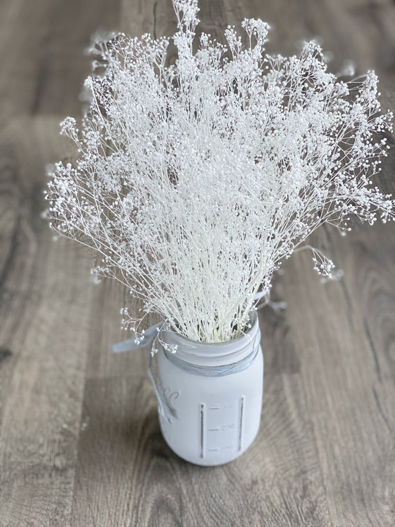 Aliento De Bebe Seco Blanco Gypsophila Seca Real Suministros Etsy Aliento De Bebe Seco Blanco Gypsophila Seca Real Suministros Etsy