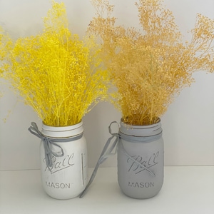 Aliento de bebé seco amarillo, Gypsophila seca, suministros de flores secas reales