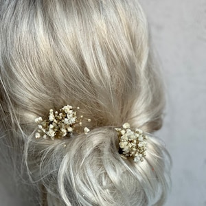 Selección de cabello floral, Selección de cabello de niña de flores, Selección de cabello de aliento de bebé preservado