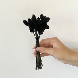Black Painted Phalaris Grass-Dried decorative grass-Flowers for resin-Small dried flowers bouquet-Minibouquet