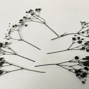 Pacote de 20 PCS Respiração de bebê preta seca prensada - Flores Gypsophila - Respiração de bebê seca prensada - Confecção de cartão de convite floral - Favor de festa