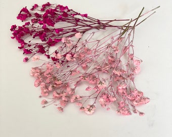 20 Pink Pressed Baby's Breath Flowers: Floral DIY Craft Supplies