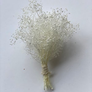 Small Bunch dried flowers-Baby breath Bridesmaid proposal White dried white baby breath Boutonniere White