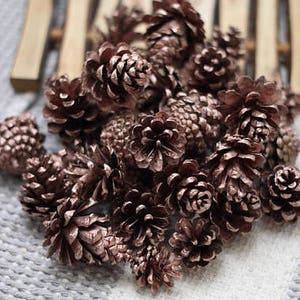 Small Rose gold Dried Pine cones, Pine cone, Christmas supplies image 1
