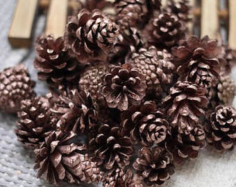 Small Rose gold Dried Pine cones, Pine cone, Christmas supplies