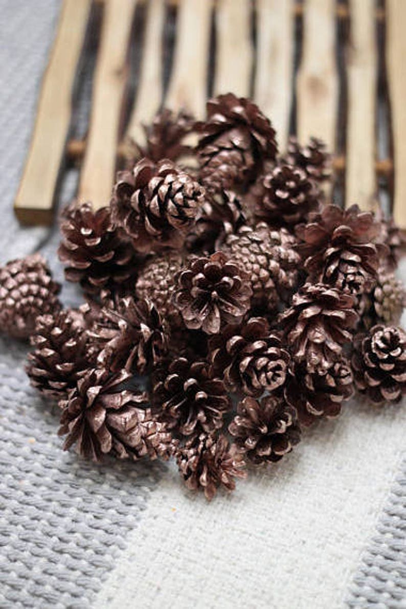 Small Rose gold Dried Pine cones, Pine cone, Christmas supplies image 1