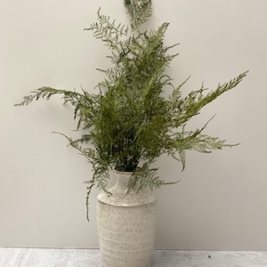 Preserved Plumosus Fern Bouquet-Preserved Greenery bouquet-Dried flowers Bouquet