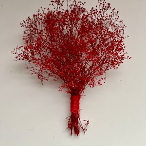 May include: A bouquet of dried red baby's breath flowers, tightly bound with red twine. The delicate, airy blooms create a full, textured appearance against a white background. The stems are visible at the base.