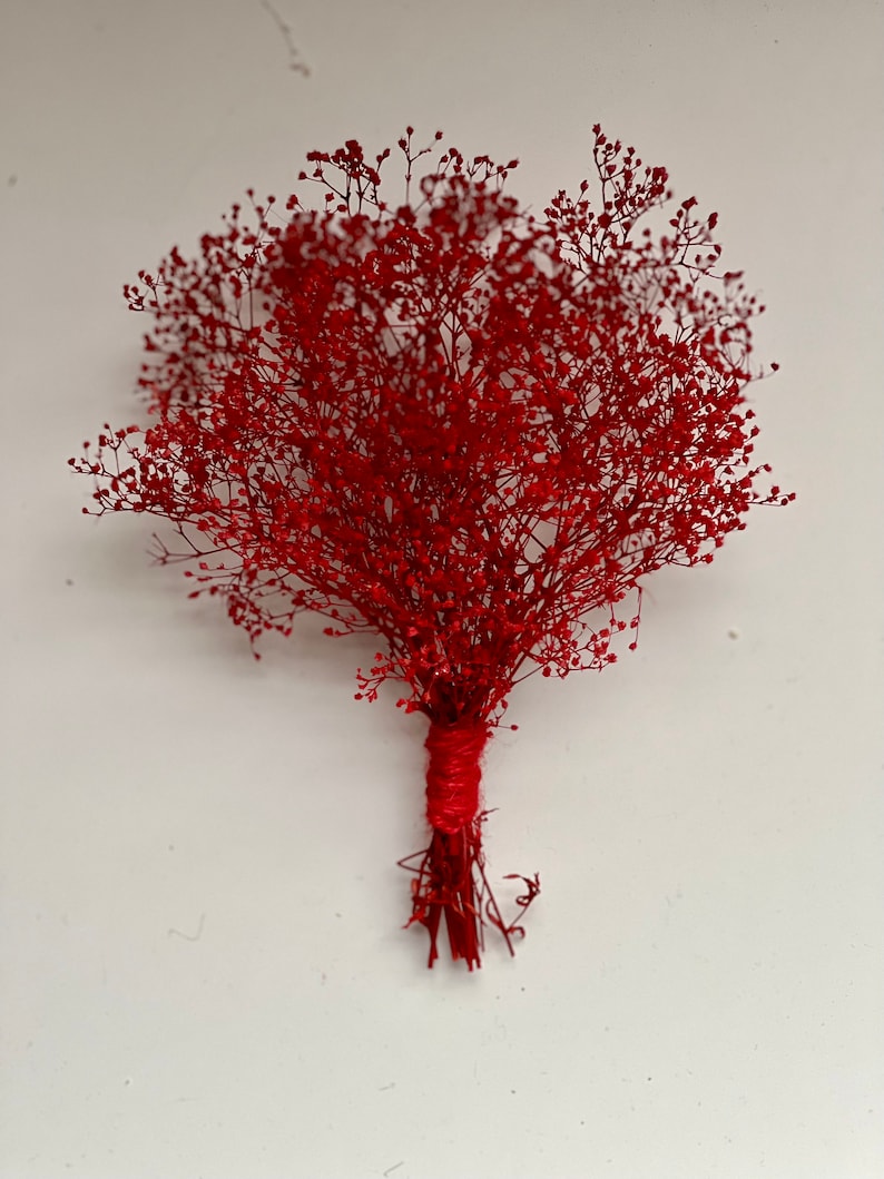May include: A bouquet of dried red baby's breath flowers, tightly bound with red twine. The delicate, airy blooms create a full, textured appearance against a white background. The stems are visible at the base.
