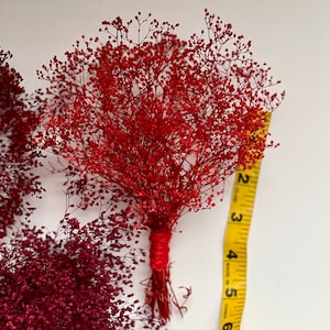 May include: A bundle of dried red baby's breath flowers, tied with red twine. A yellow measuring tape shows the bundle is approximately 7 inches long. Another bundle of burgundy baby's breath is also visible.