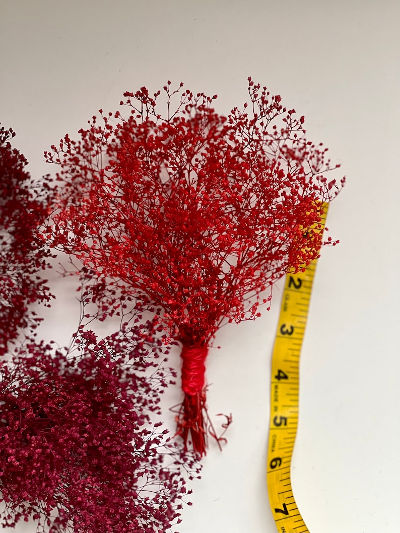 May include: A bundle of dried red baby's breath flowers, tied with red twine. A yellow measuring tape shows the bundle is approximately 7 inches long. Another bundle of burgundy baby's breath is also visible.