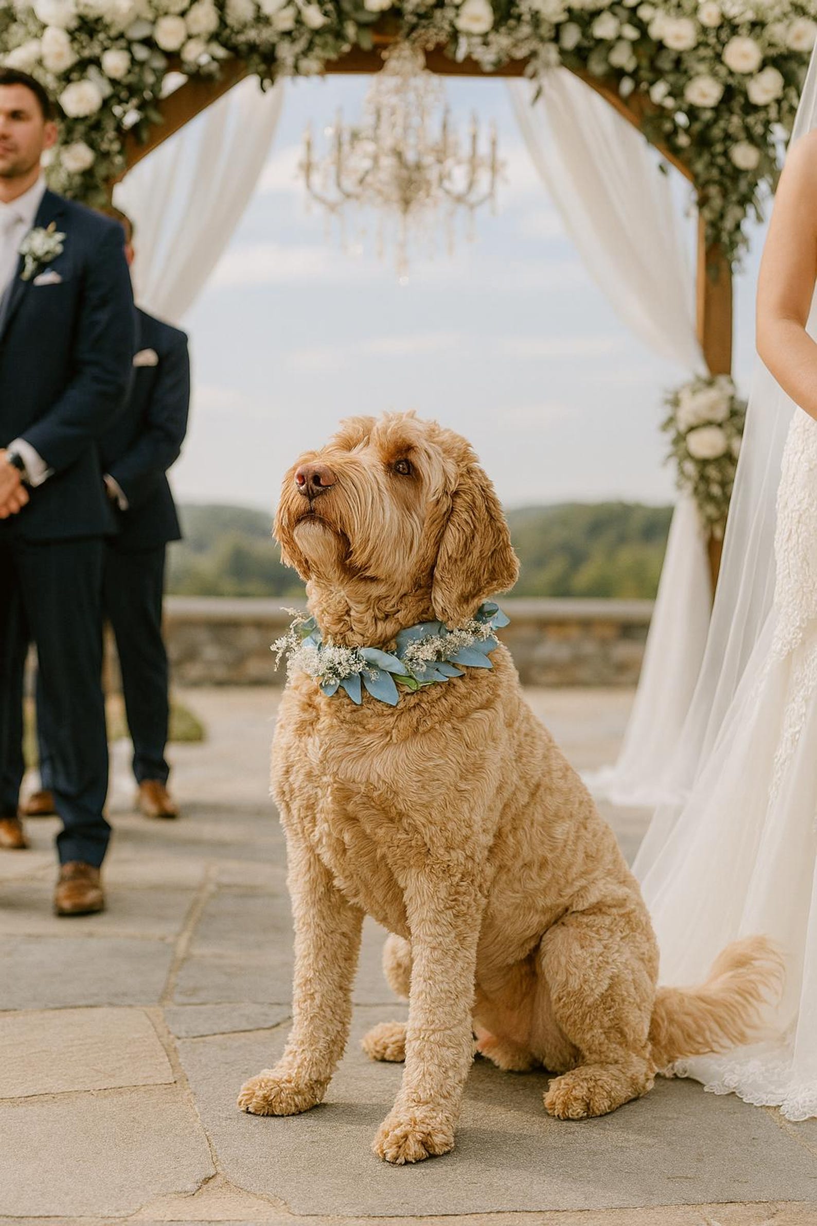 Seeded Silk Eucalyptus Wedding Dog Collar: Floral Canine Adornment