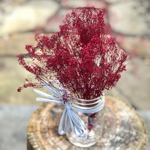 Peut inclure: Un bouquet de fleurs s&eacute;ch&eacute;es rouges dans un bocal en verre transparent avec un ruban blanc nou&eacute; autour du col. Le bocal est pos&eacute; sur une souche d'arbre.