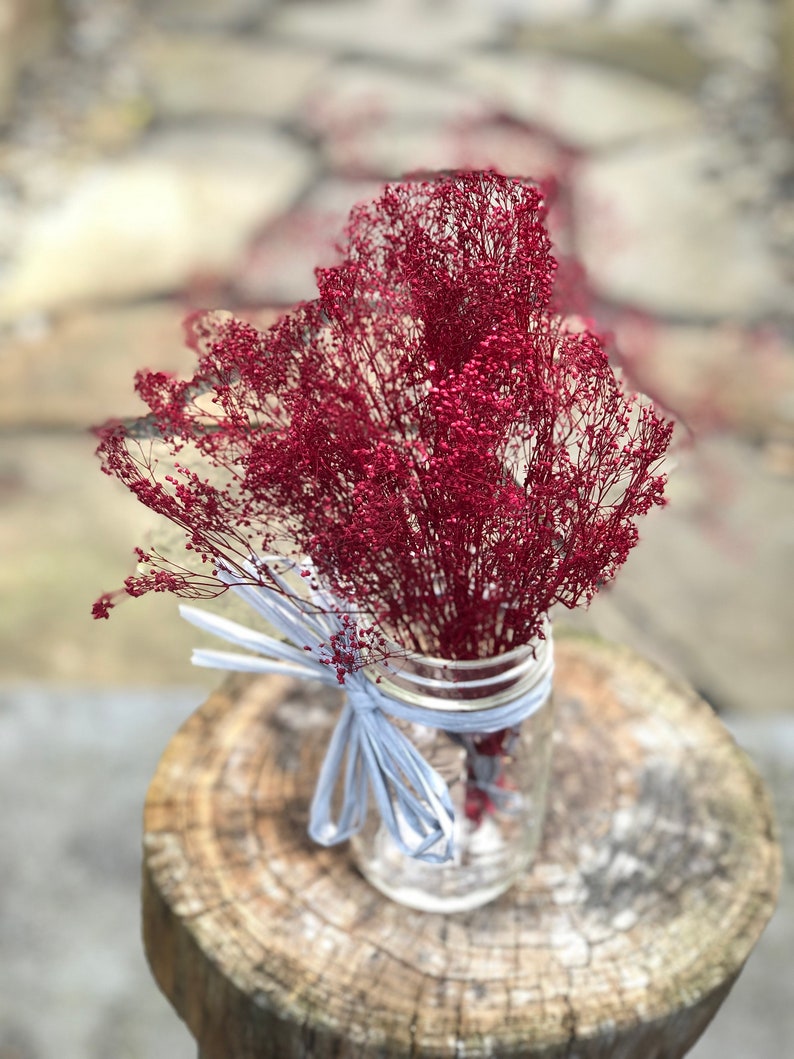 Peut inclure: Un bouquet de fleurs s&eacute;ch&eacute;es rouges dans un bocal en verre transparent avec un ruban blanc nou&eacute; autour du col. Le bocal est pos&eacute; sur une souche d'arbre.