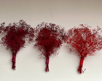 May include: Three bunches of dried baby's breath flowers in shades of red. Each is tied with twine. The flowers are set against a white background.