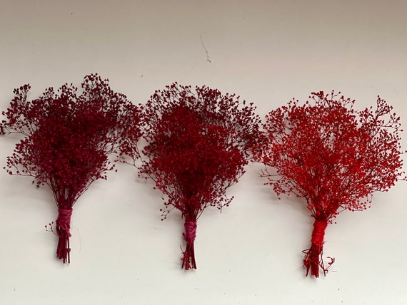 Dried Baby Breath Bunch: Natural Resin Findings for Crafts