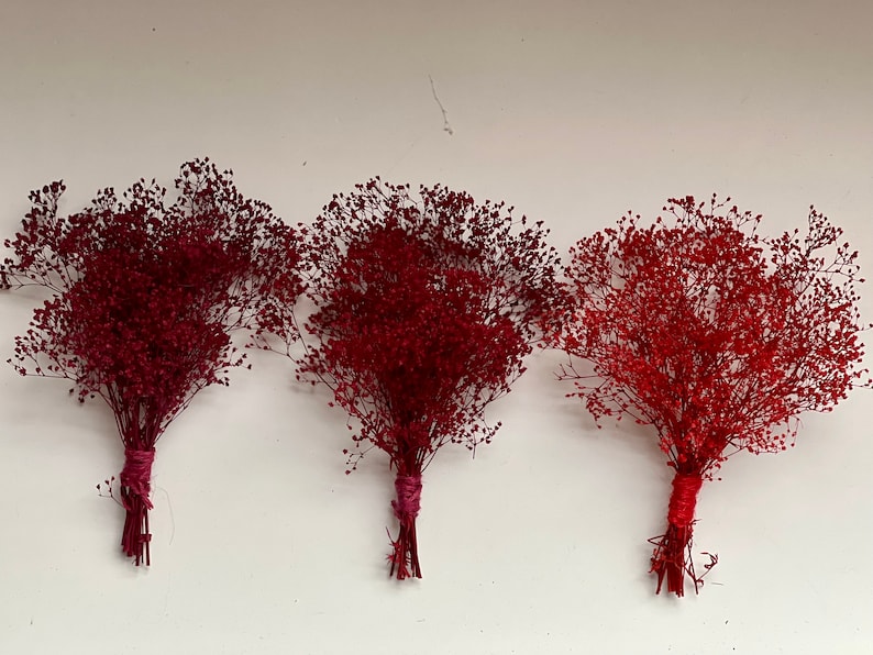 May include: Three bouquets of dried baby's breath flowers in varying shades of red. Each bouquet is tied with twine. The flowers are against a white background.