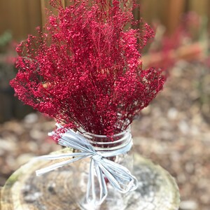 Peut inclure: Un bouquet de gypsophile rouge s&eacute;ch&eacute; dans un bocal en verre transparent avec un ruban gris.