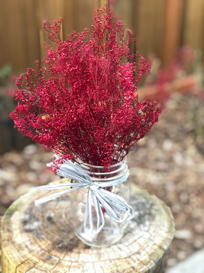 Peut inclure: Un bouquet de gypsophile rouge s&eacute;ch&eacute; dans un bocal en verre transparent avec un ruban gris.