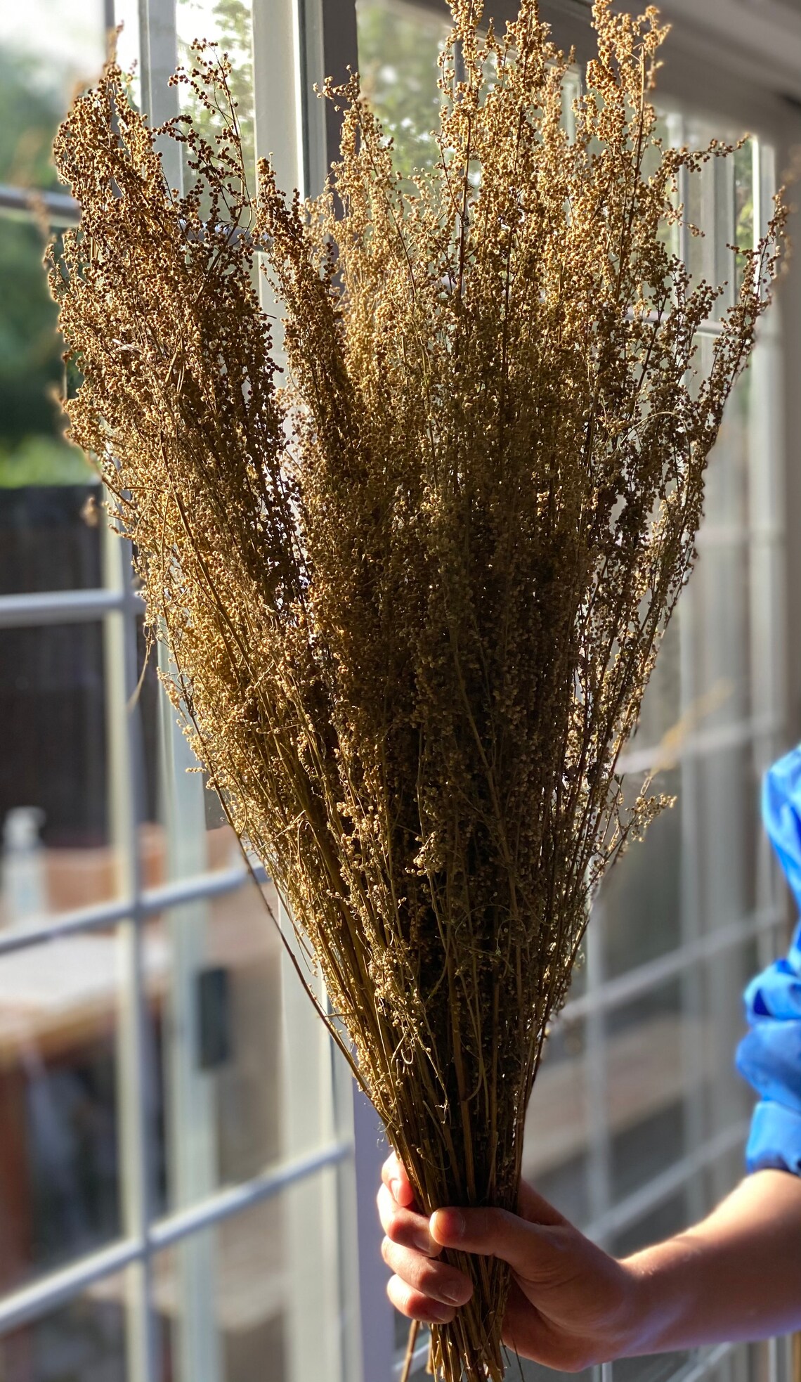 Air dried Sweet Annie Scented dried flower sweet Dried Etsy