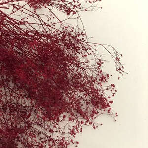 Peut inclure: Un bouquet de fleurs de gypsophile s&eacute;ch&eacute;es de couleur rouge bordeaux. Les fleurs sont dispos&eacute;es en un groupe l&acirc;che et fluide.