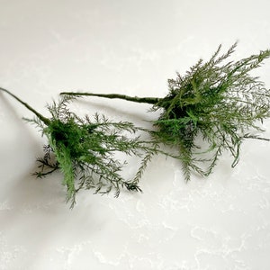 Horquillas para el pelo con vegetación - Horquillas para el pelo con vegetación - Horquillas para el pelo de boda/novia - Horquilla para el pelo de Primera Comunión - Horquilla para el pelo de niña de las flores