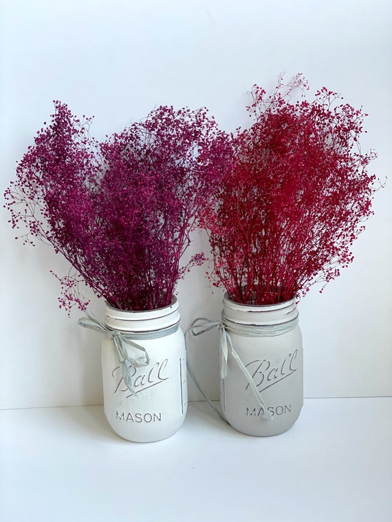 Burgundy Dried Baby's Breath: Hand-Painted Gypsophila