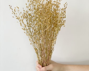 Dried grasses bouquet-Air dried natural  bunch with Tear-Dropped Shapped Seed Pods-Ornamental grasses bouquet