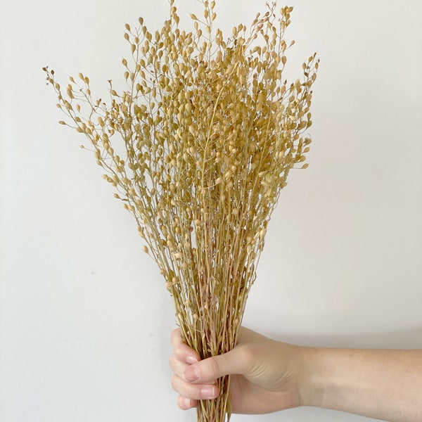 Dried grasses bouquet-Air dried natural  bunch with Tear-Dropped Shapped Seed Pods-Ornamental grasses bouquet