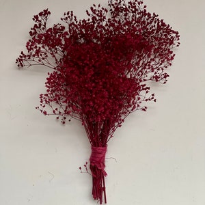 May include: A bouquet of dried burgundy-colored flowers tied together with a matching twine. The flowers have many small, delicate blooms and thin stems. The bouquet is displayed against a white background.