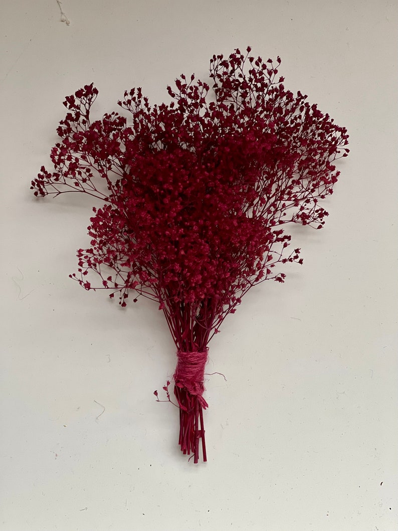 May include: A bouquet of dried burgundy-colored flowers tied together with a matching twine. The flowers have many small, delicate blooms and thin stems. The bouquet is displayed against a white background.