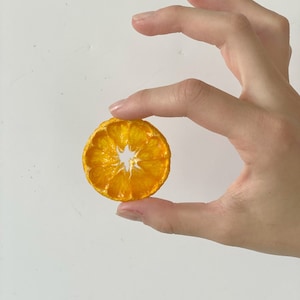 Dried/Dehydrated Mandarine Slices/Half slices of dried mandarine