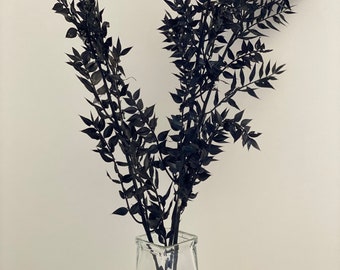 Black long stems flowers-preserved Ruscus-Floral home decor