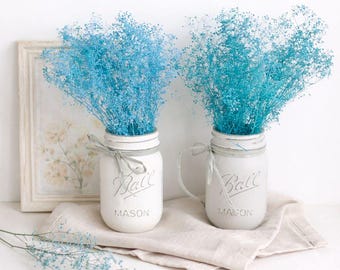 Lake Blue Dried Baby's Breath: Preserved Gypsophila Floral Bunch