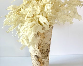 Bleached Oak Leaves-Dried leaves-White dried decor