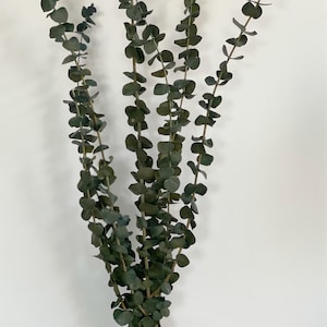 Preserved Eucalyptus Bunch in Frosted green blue, Eucalyptus bouquet,Home decor eucalyptus