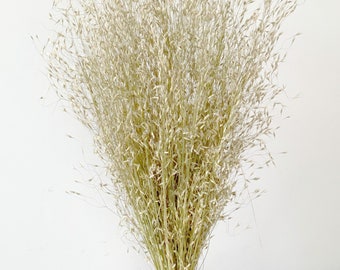 Dried Indian Rice Grass Bouquet - Air Dried Ornamental Grasses