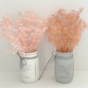 Peach dried baby breath, dried peach flowers, Peach Baby Breath