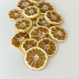 Dried/Dehydrated Lemon  Slices/Half slices of dried lemon