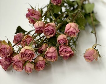 Dried Miniroses -Air dried pink roses-Dried flowers