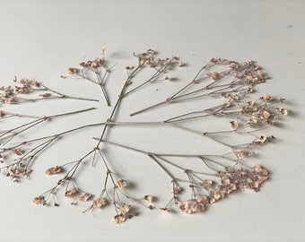 20 Blush Pressed Baby's Breath Flowers: Floral Card Making