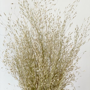 Dried ornamental grasses-Air Dried Bouquet-Home Decor-Indian Rice Dried Grass image 2