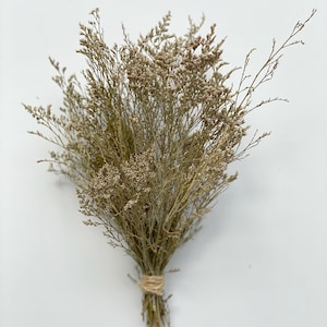 Preserved Natural Caspia Bunch – 12–14&quot; Dried Flowers, Rustic Filler, Airy Texture, Unique Natural Scent – DIY Bouquet, Floral Crafts