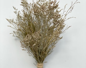 Preserved Natural Caspia Bunch – 12–14&quot; Dried Flowers, Rustic Filler, Airy Texture, Unique Natural Scent – DIY Bouquet, Floral Crafts