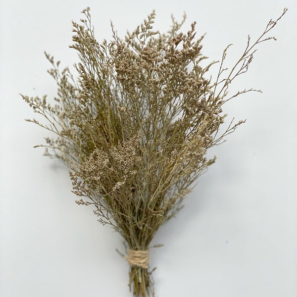 Dried Caspia Branches bunch,  Small Dried Greenery Bunch;Dried Caspia