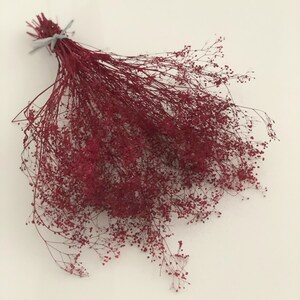 Peut inclure: Un bouquet de gypsophile s&eacute;ch&eacute; de couleur rouge bordeaux.