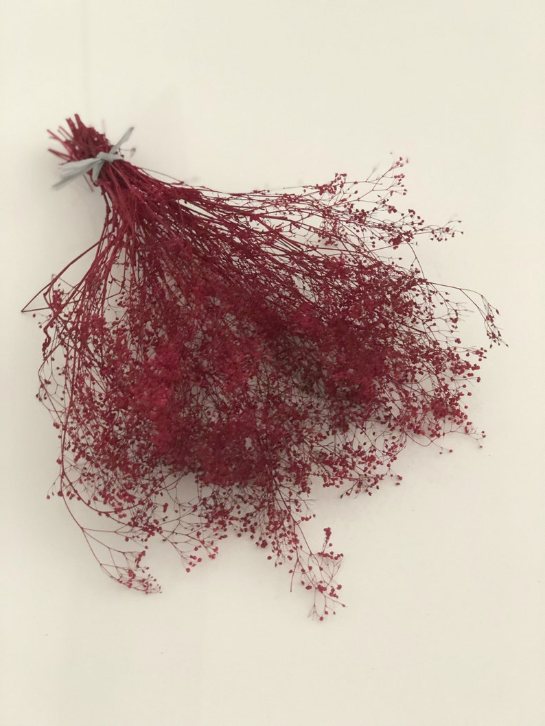 Peut inclure: Un bouquet de gypsophile s&eacute;ch&eacute; de couleur rouge bordeaux.