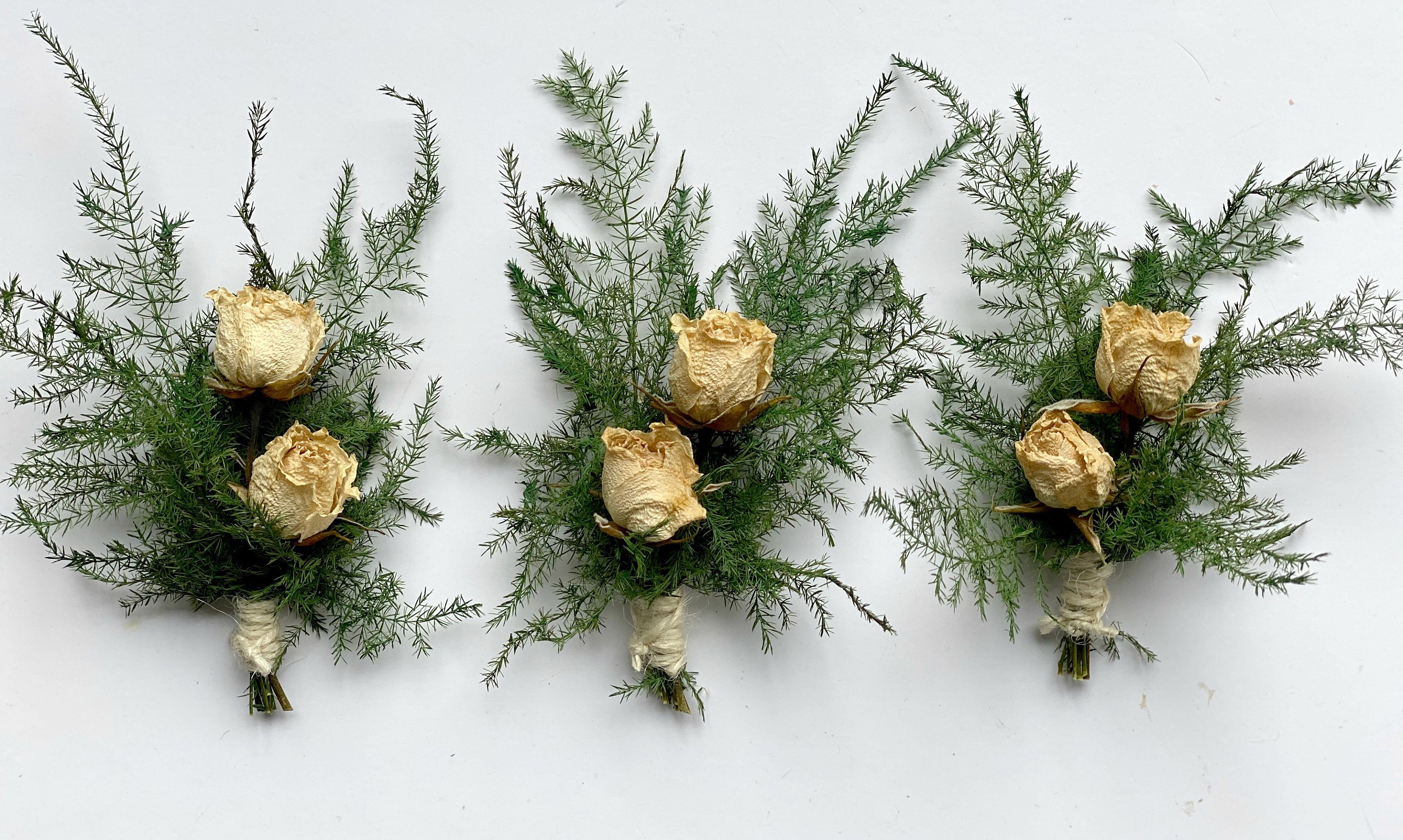 Dried Caspia Branches Bunch, Small Dried Greenery Bunchdried Caspia 